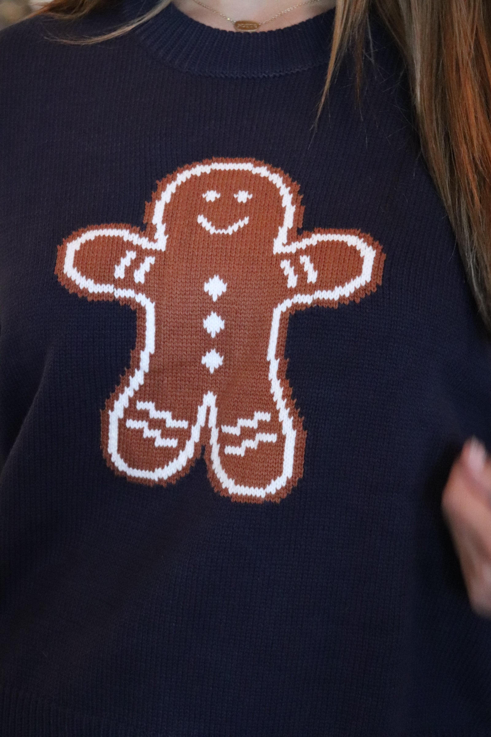 Navy Sweater with a brown gingerbread man