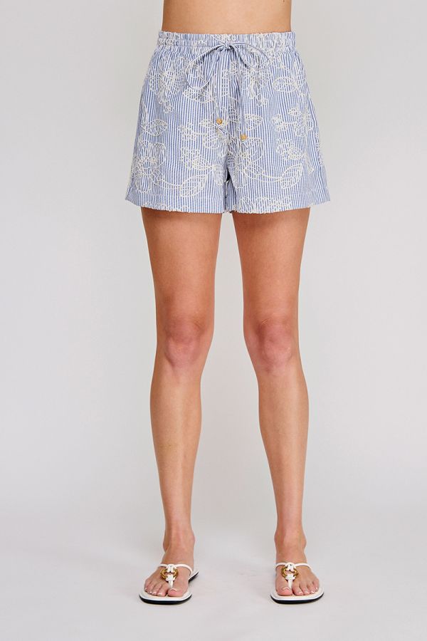 Floral Embroidered Pinstripe Shorts